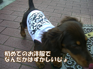 souther_20081115e