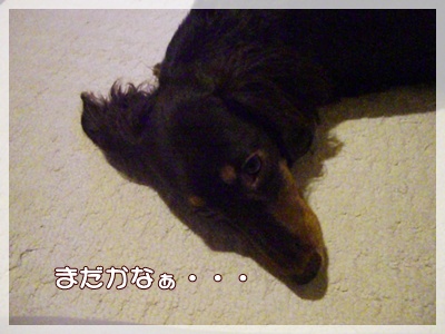 souther_20090731b