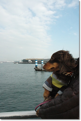 souther_20100222j
