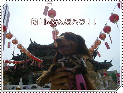 souther_20090707d