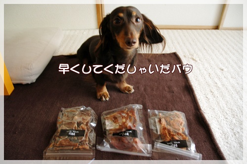 souther_20091014a