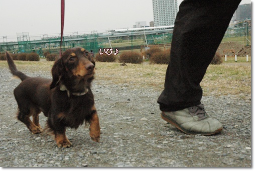 souther_20100216m
