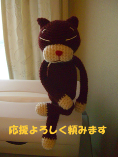 souther_20081229g