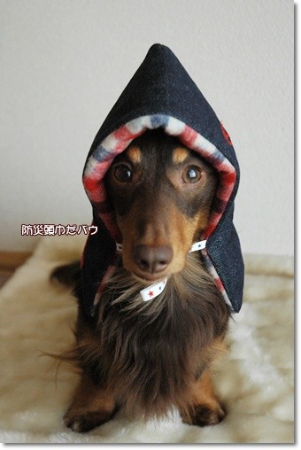 souther_20110508g