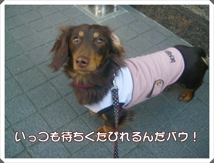 souther_20090404e