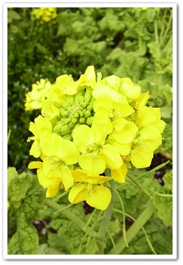 souther_20120410k