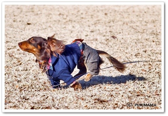souther_20120317h