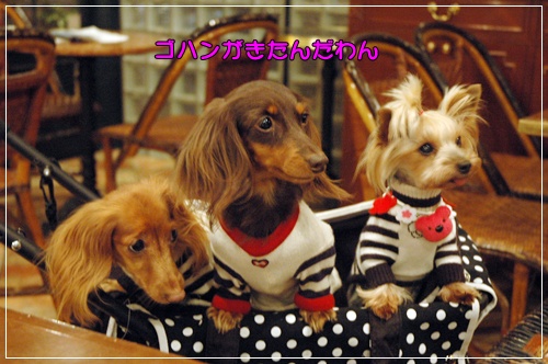 souther_20091121d