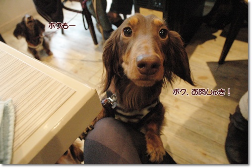 souther_20100114c