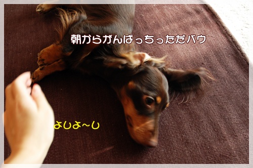 souther_20091108g
