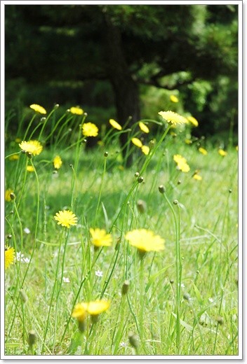 souther_20110606g