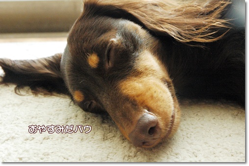 souther_20091208h