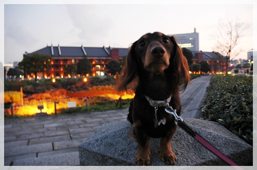 souther_20091111f
