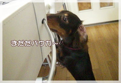 souther_20090829e