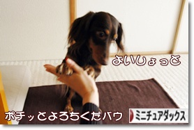 �ˤۤ�֥���¼ ���֥��� �ߥ˥��奢���å����ե�ɤ�