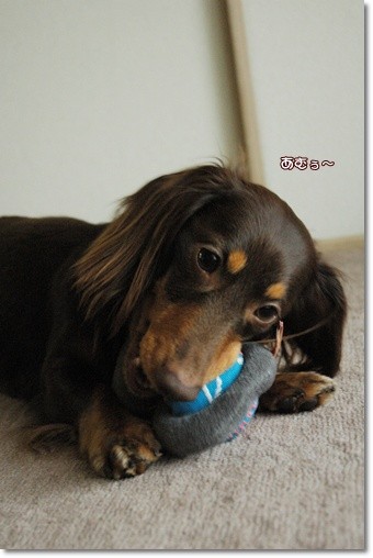 souther_20110507c