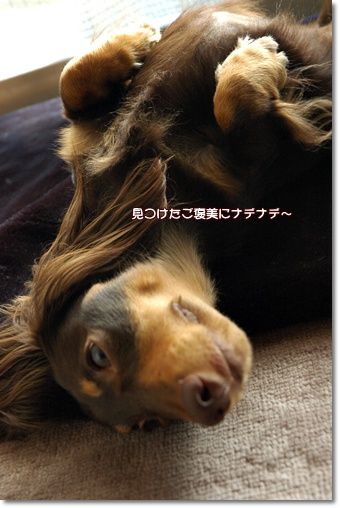 20101127e