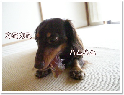 souther_20090717e