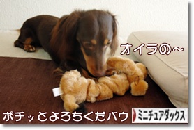 �ˤۤ�֥���¼ ���֥��� �ߥ˥��奢���å����ե�ɤ�