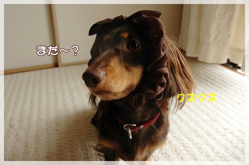 souther_20090926i
