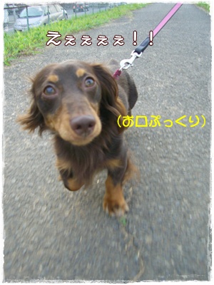 souther_20090706i