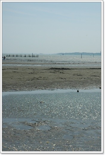 souther_20110606k