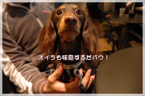 souther_20091111j