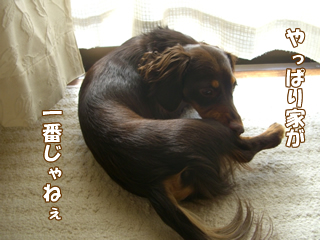 souther_20081206f