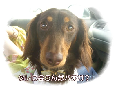 souther_20090405a