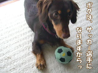 souther_20081117i