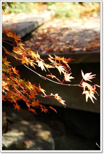 20101130d