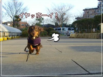 souther_20090225e