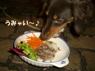 souther_20081230b