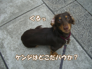 souther_20081112c