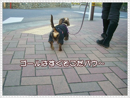 souther_20090224i