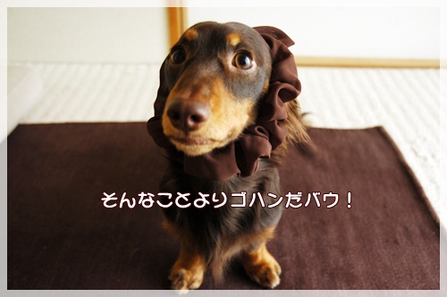souther_20091108a
