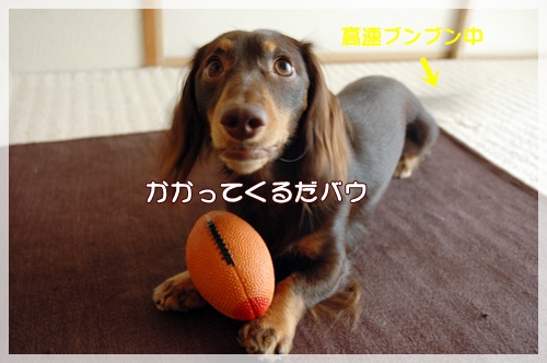 souther_20091016j