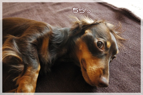 souther_20090929f