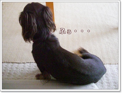 souther_20090717h