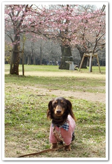 souther_20120331o