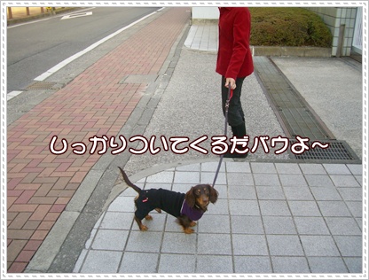 souther_20090224e