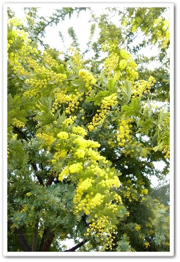 souther_20120331e
