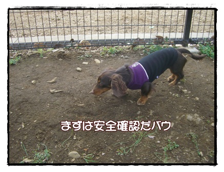 souther_20090331b