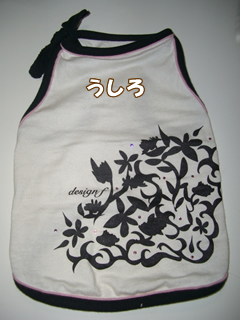souther_20081115d