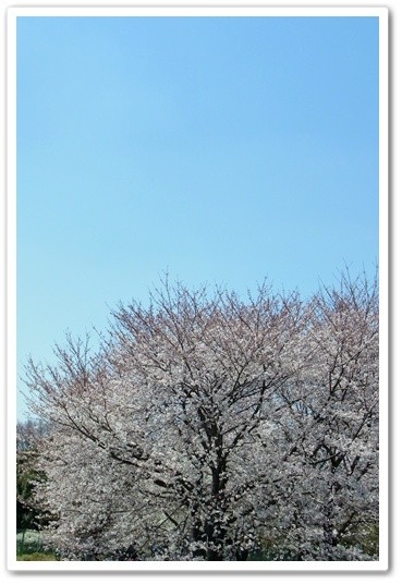 souther_20120424a