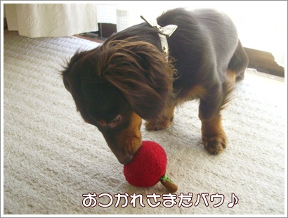 souther_20090305d