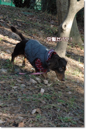 souther_20091225f