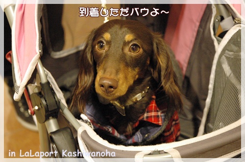 souther_20091125a