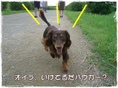 souther_20090706g