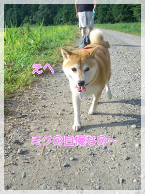 souther_20090831f